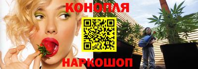 МДПВ Ливны
