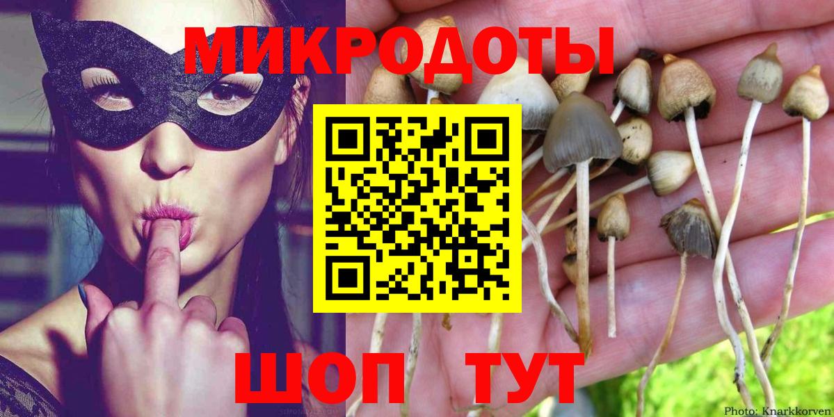 Псилоцибиновые грибы прущие грибы Иваново